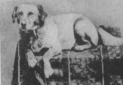 abraham-lincoln-fido