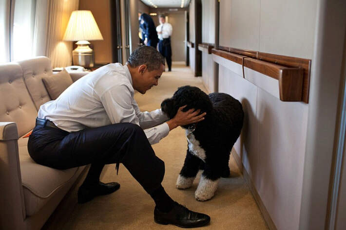 barack-obama-dog