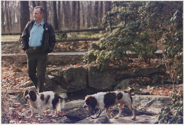 george-hw-bush-dogs