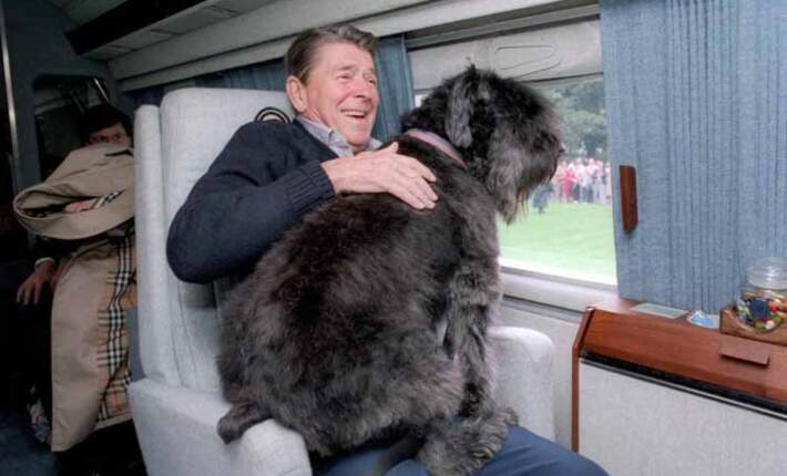 ronald-reagan-dog