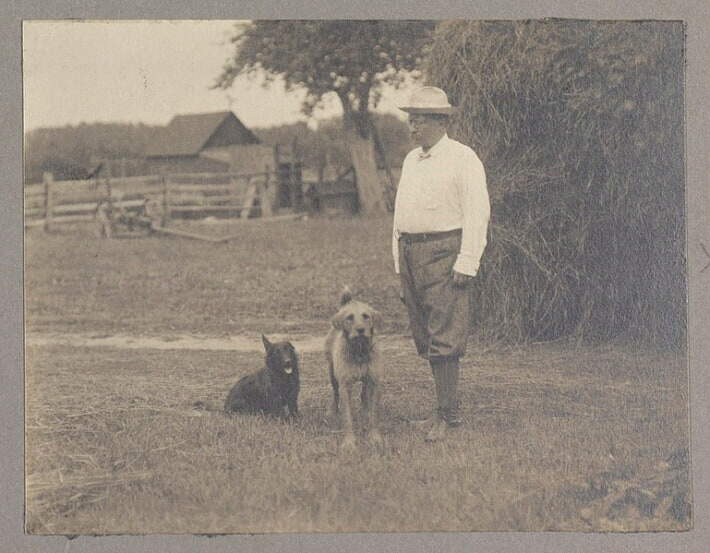 teddy-roosevelt-dogs