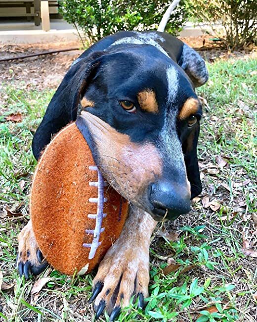 Dog with Power Play Football Gripz