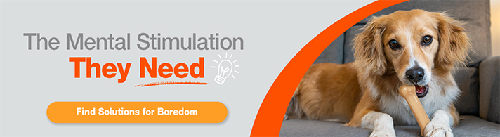 find solutions for boredom banner