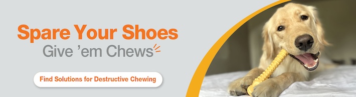 Find solutions for destructive chewing