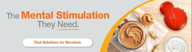 Find Solutions for Boredom