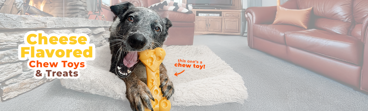 Dog chewing Nylabone Power Chew toy with cheese flavor throughout 