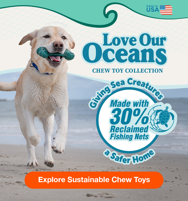 Love Our Oceans Chew Toy Collection graphic.