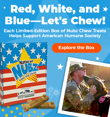Red, White, and Blue – Let’s Chew! Nubz limited-edition chew treats supporting American Humane Society