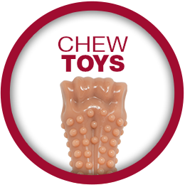 WEBSITE-HP-CarouselSlider-Icons-B_ChewToys