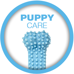 WEBSITE-HP-CarouselSlider-Icons-B_PuppyCare