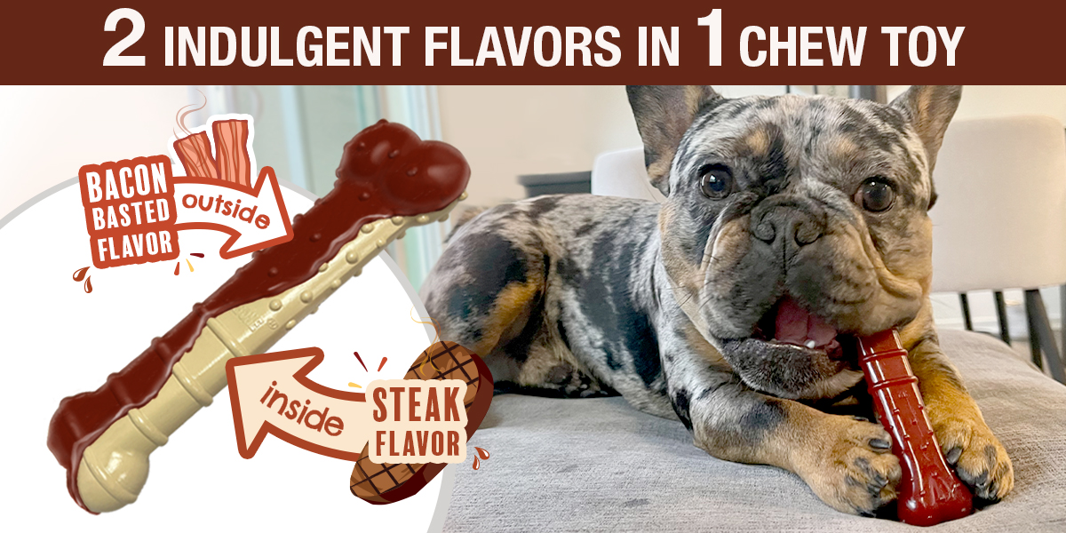 Basted Bone hero graphic showing product and a dog.