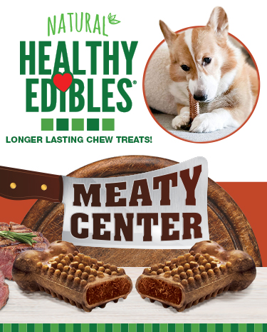 Healthy Edibles Meaty Center graphic featuring steak, chew toys, and a dog chewing.