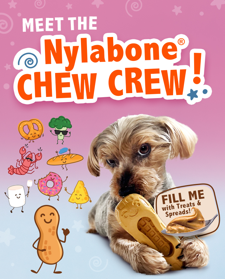 novelty-header-MOBILE