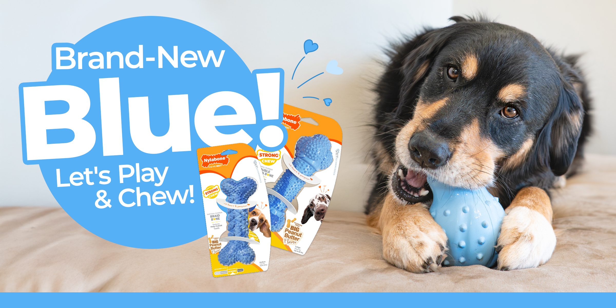 brand new blue lets play and chew