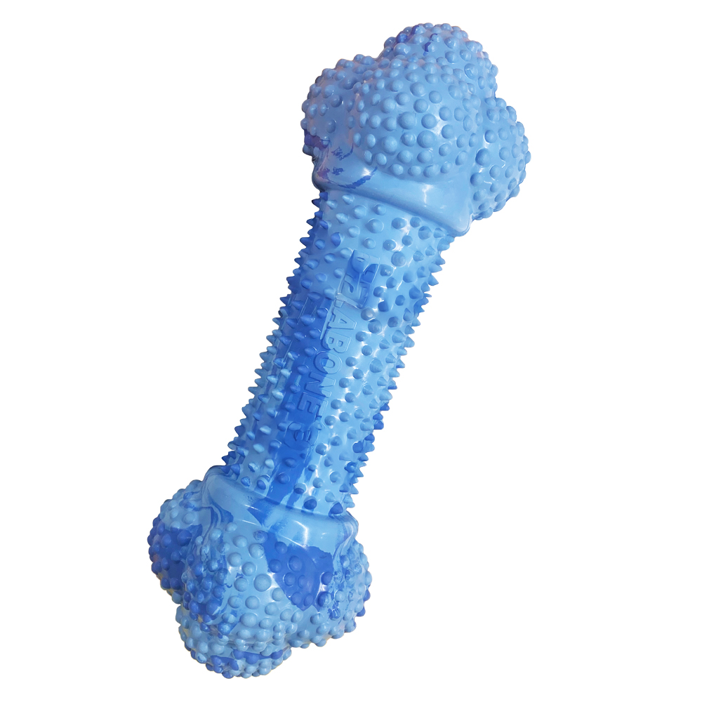 blue rubber bone