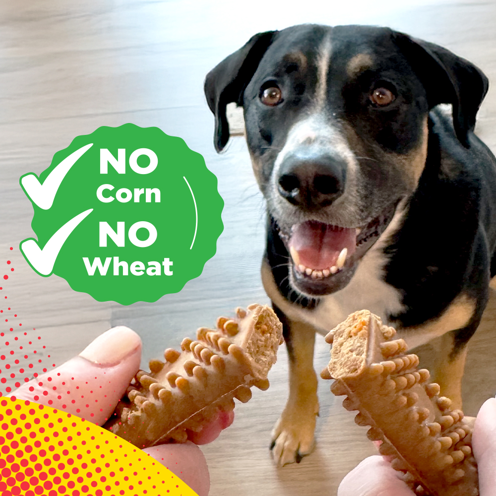 Dog with a person holding a dog chew broken in half.