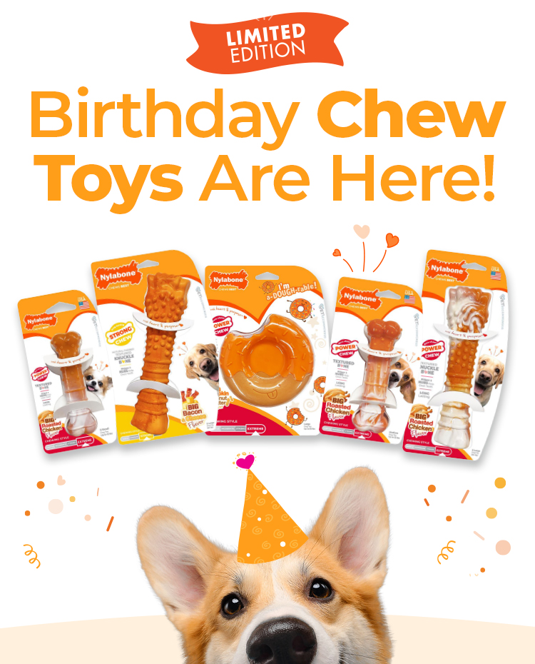 limited edition birthday chew toys announcement from Nylabone