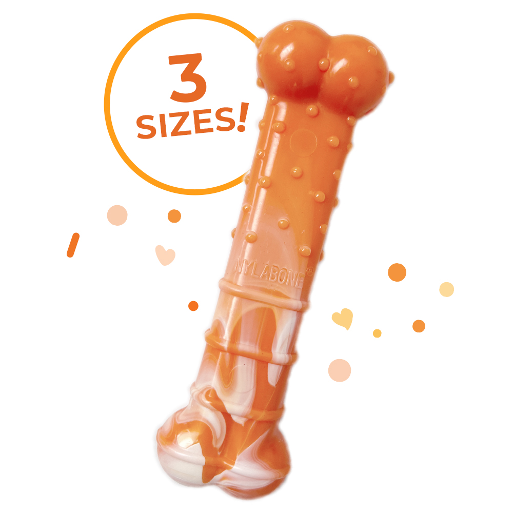 Medium Power Chew 70th Birthday Textured Bone Chew Toy Roasted Chicken in package