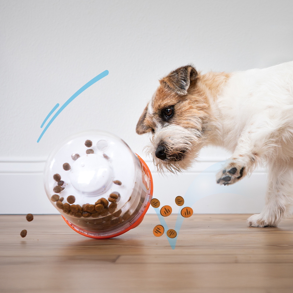 add treats and kibble