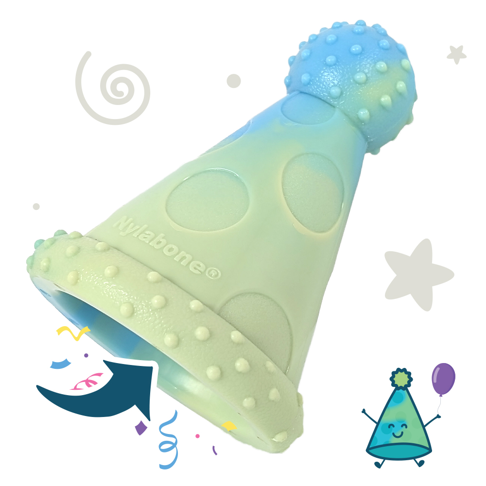 Large Party Hat Treat Toy For Medium Dogs Chew Toy in Peanut Butter Flavor in package