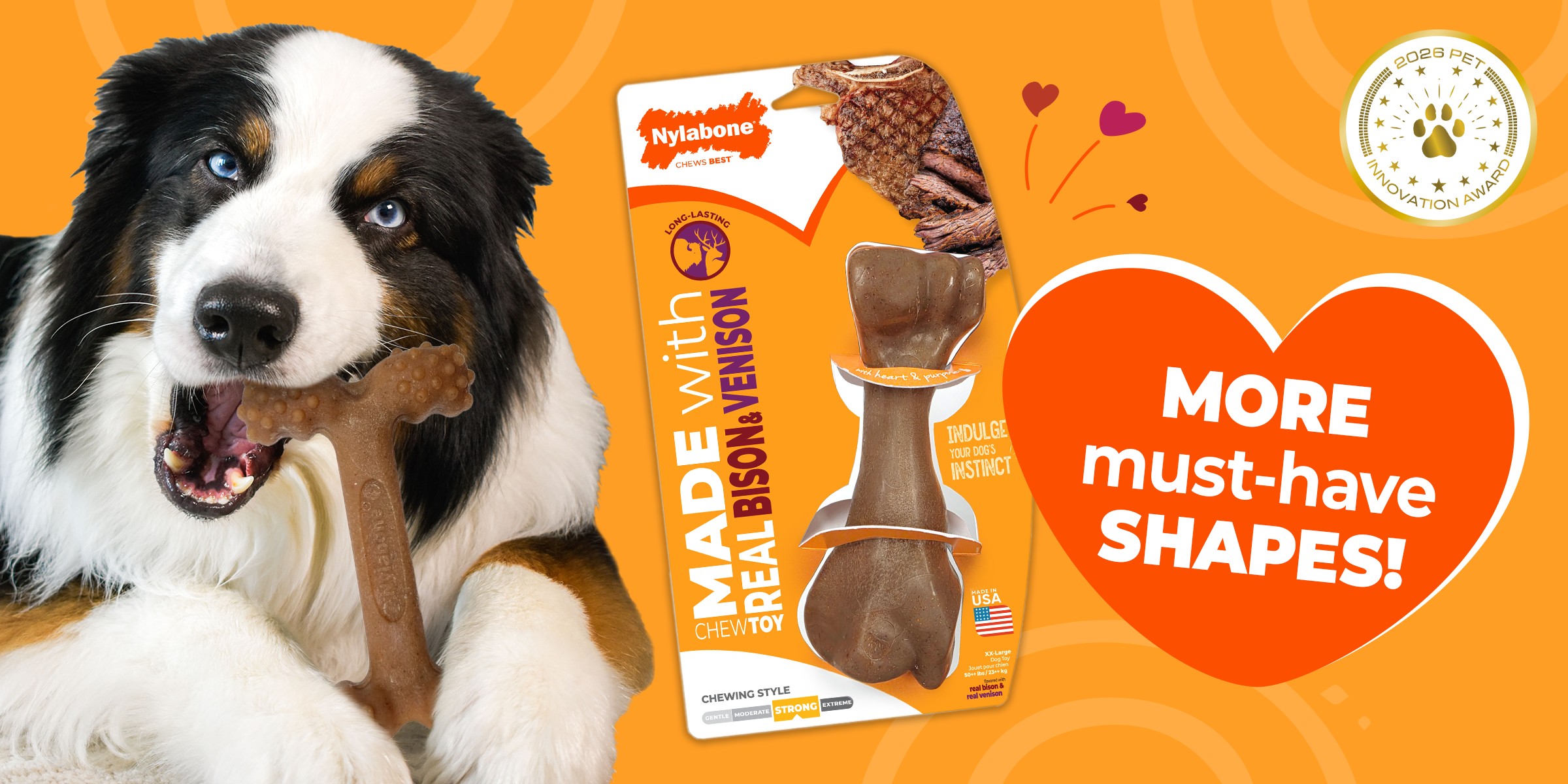 New chew toy shapes announcement for Nylabone chew toys made with real chicken, bacon, bison, venison