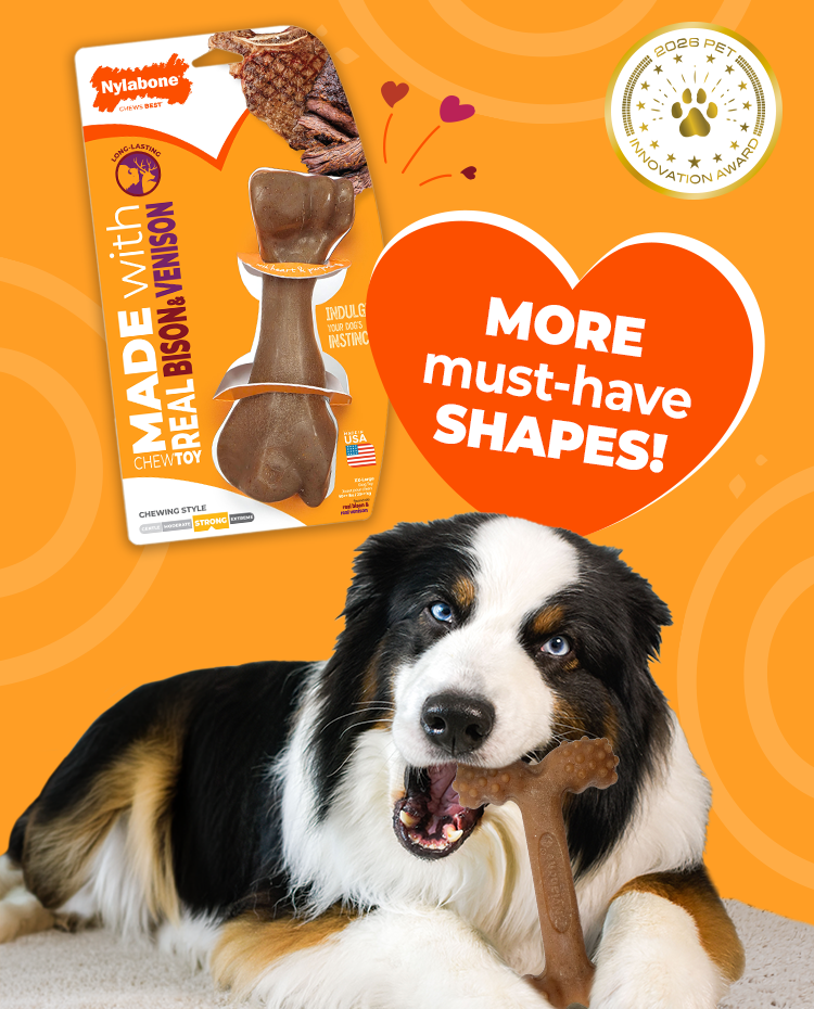 New chew toy shapes announcement for Nylabone chew toys made with real chicken, bacon, bison, venison