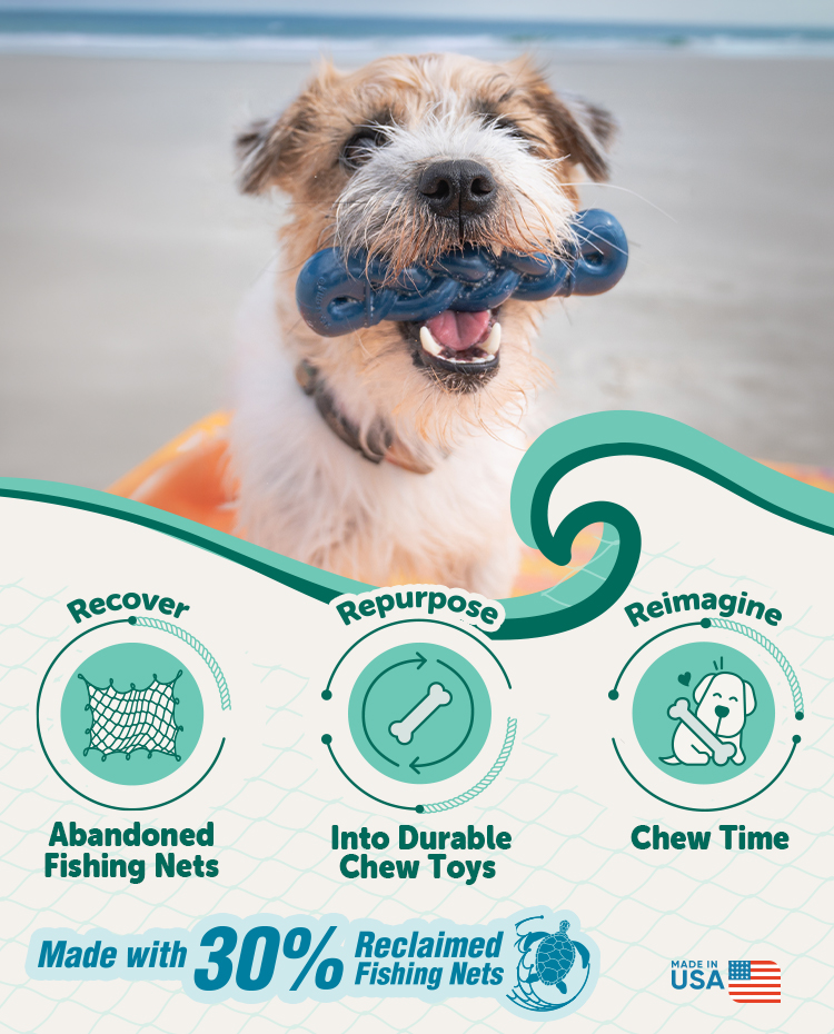 Love Our Ocean Collection announcement from Nylabone​