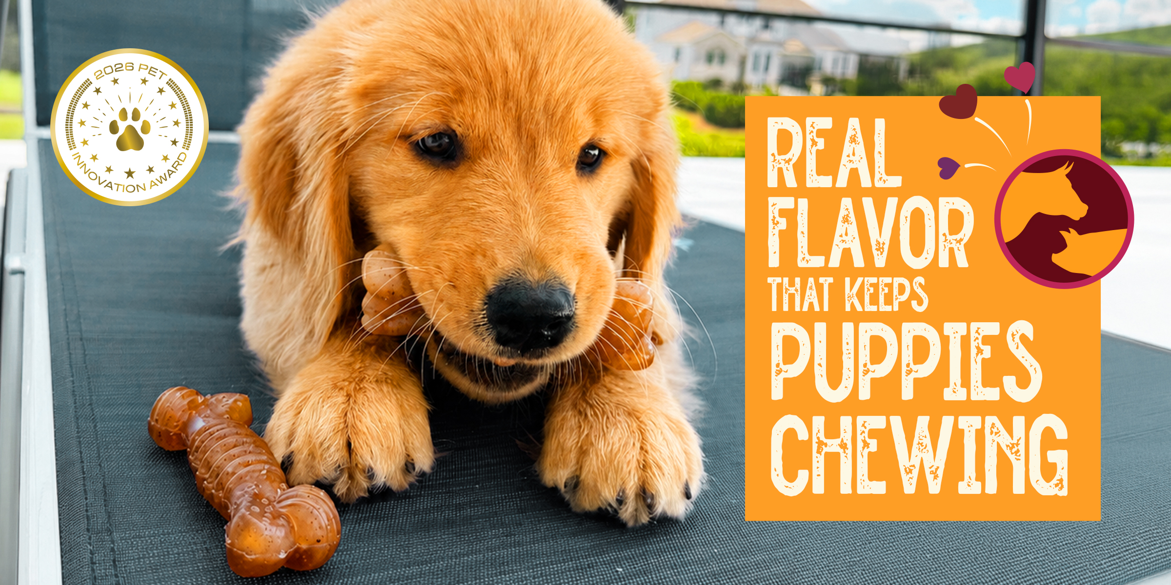 New chew toy announcement for puppy chew toys made with real beef and bacon