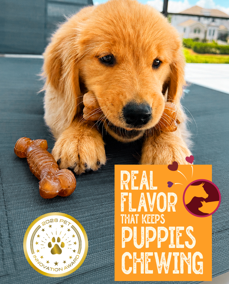 New chew toy announcement for puppy chew toys made with real beef and bacon