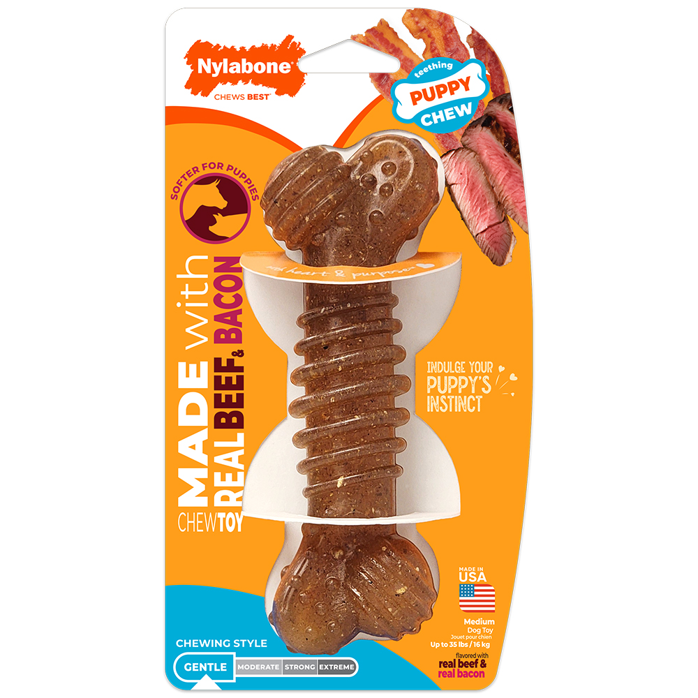 Puppy holding Nylabone Puppy Chew Groove Bone chew toy made with real beef and bacon