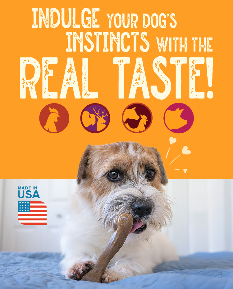 indulge in your dog's instincts with the real taste