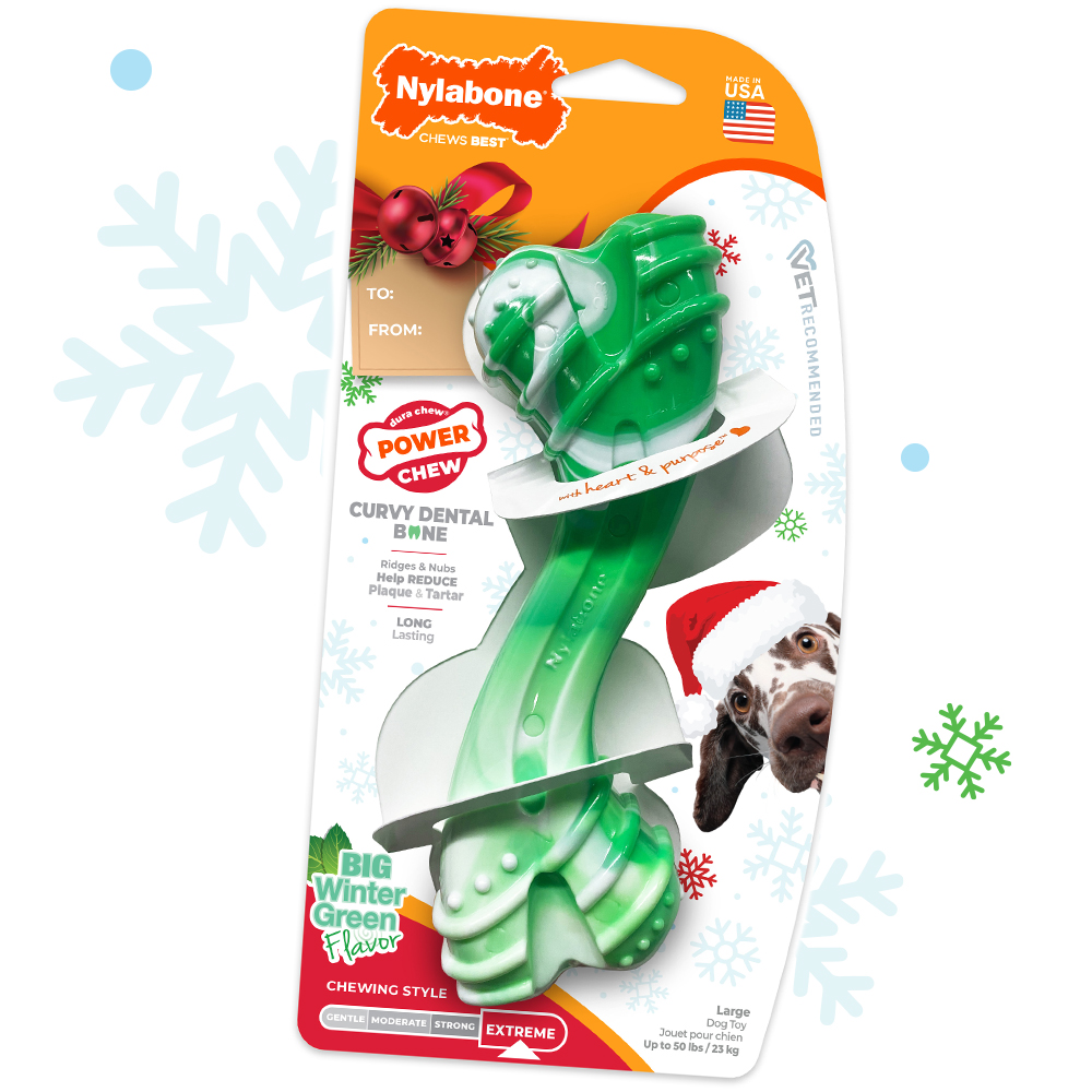 Large Holiday Power Chew Curvy Dental Bone Chew Toy in package