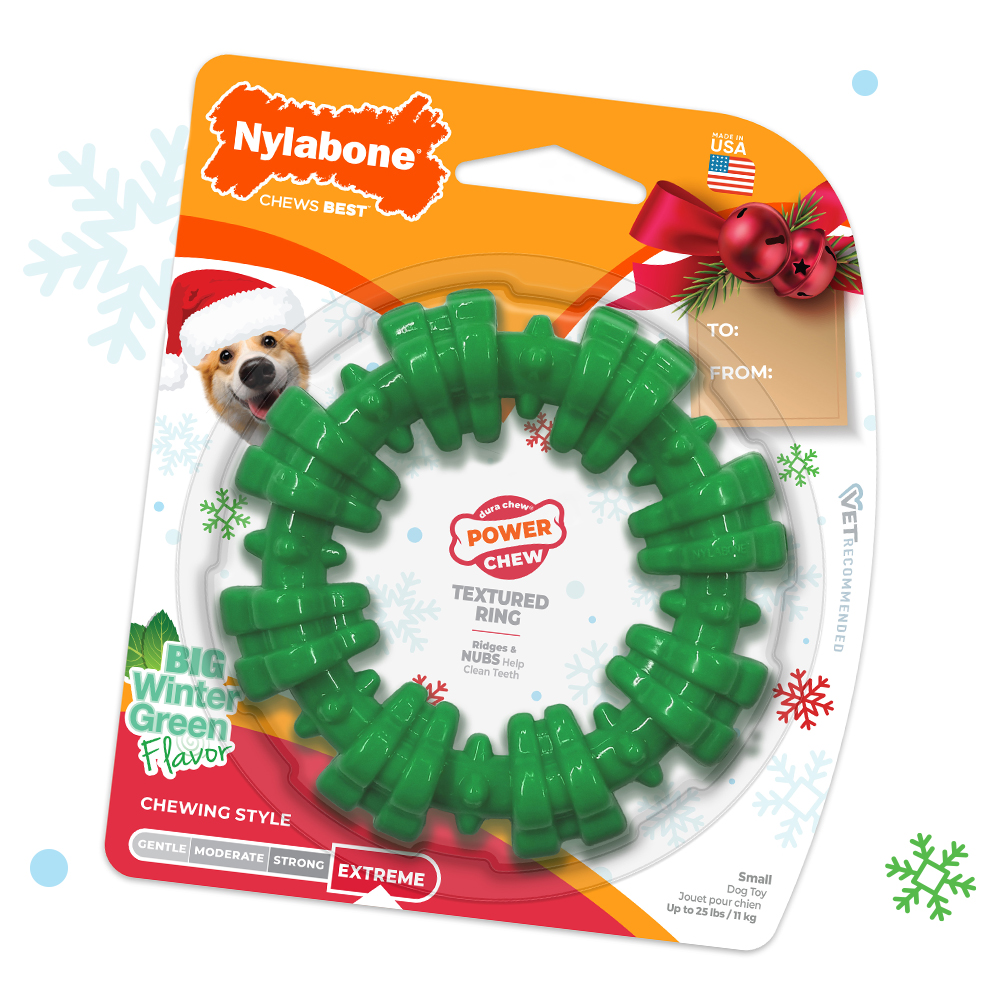 Small Holiday Power Chew Textured Ring Chew Toy in package
