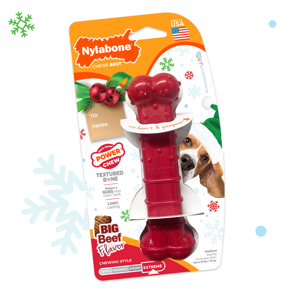 Medium Holiday Power​  Chew Textured Bone Chew​ Toy in package