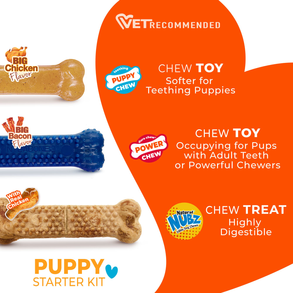 Puppy starter kit graphic featuring products and descriptions.