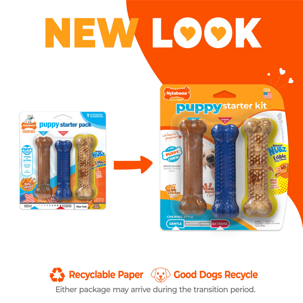 Nylabone Puppy Starter Kit new look
