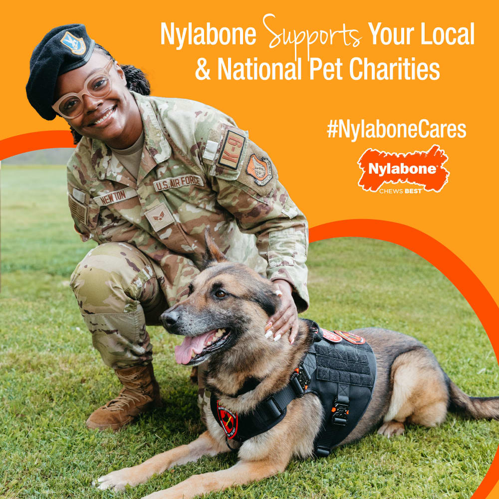 nylabone-cares-fy25