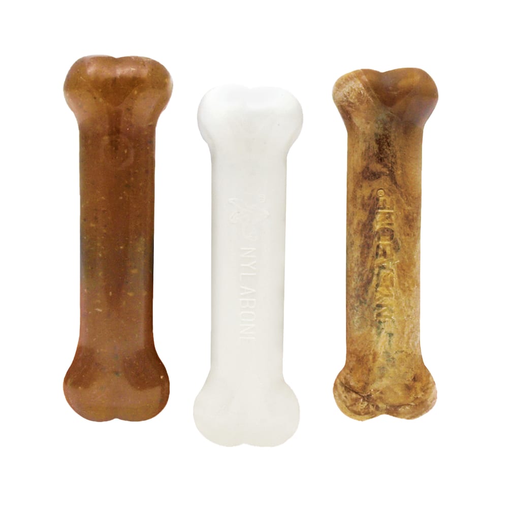 Front view of Nylabone Puppy Starter Kit Reg 3ct Bl out of box