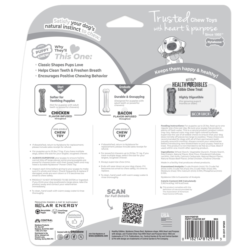 Back view of Nylabone Puppy Starter Kit Regular 3ct in packaging