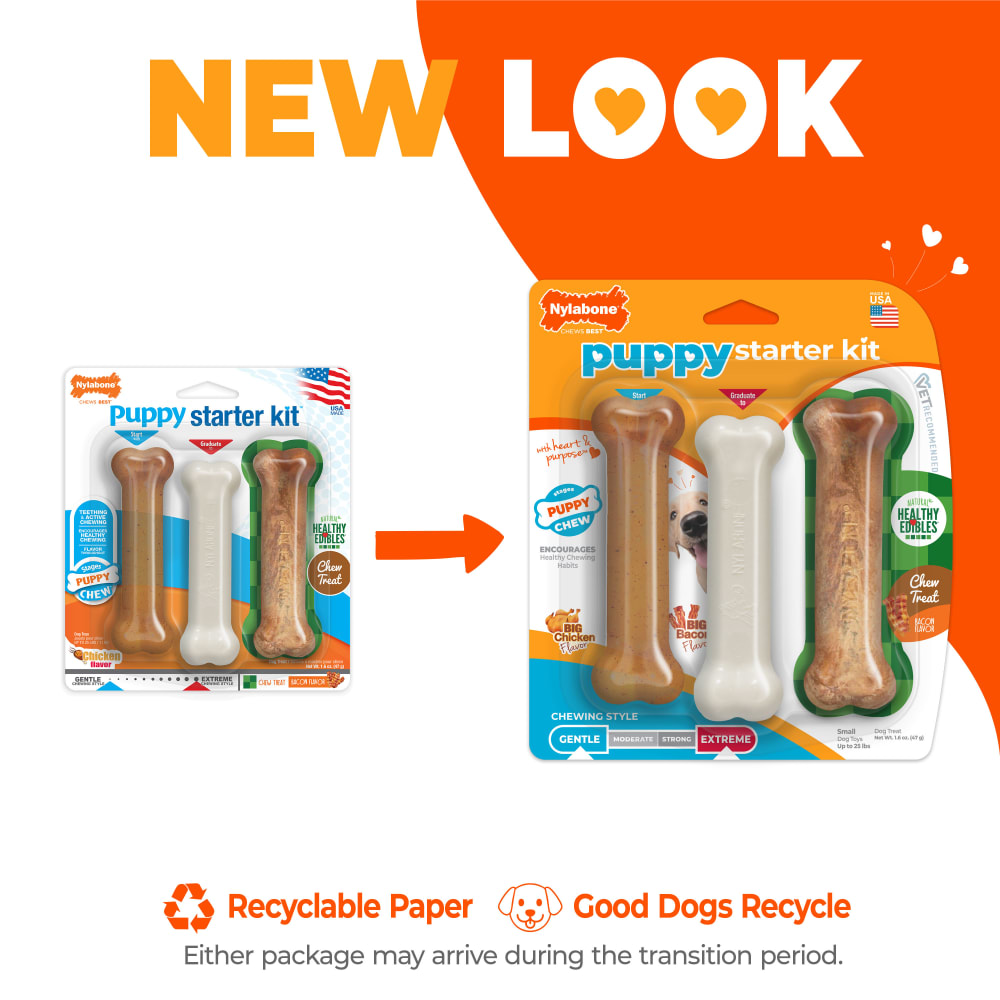 Nylabone Puppy Starter Kit Regular 3ct new look