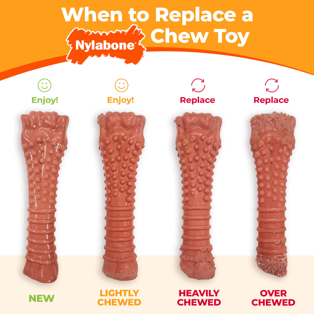 nylabone-when-to-replace