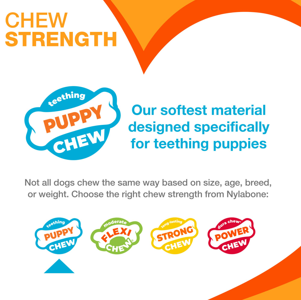 nylabone-chew-strength-puppy-chew-fy25