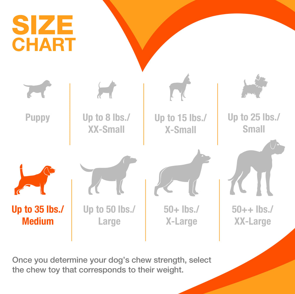 nylabone-size-chart-medium-fy25