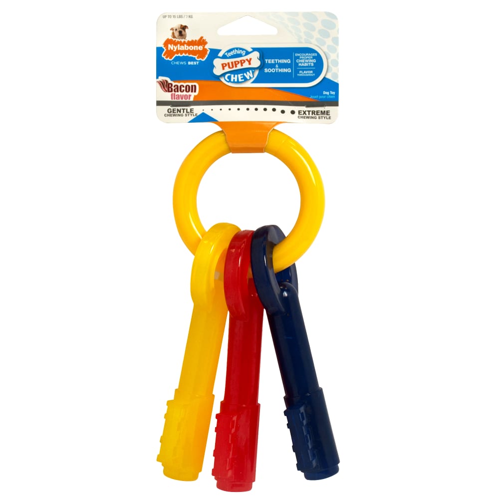 Key shaped puppy chew in packaging.