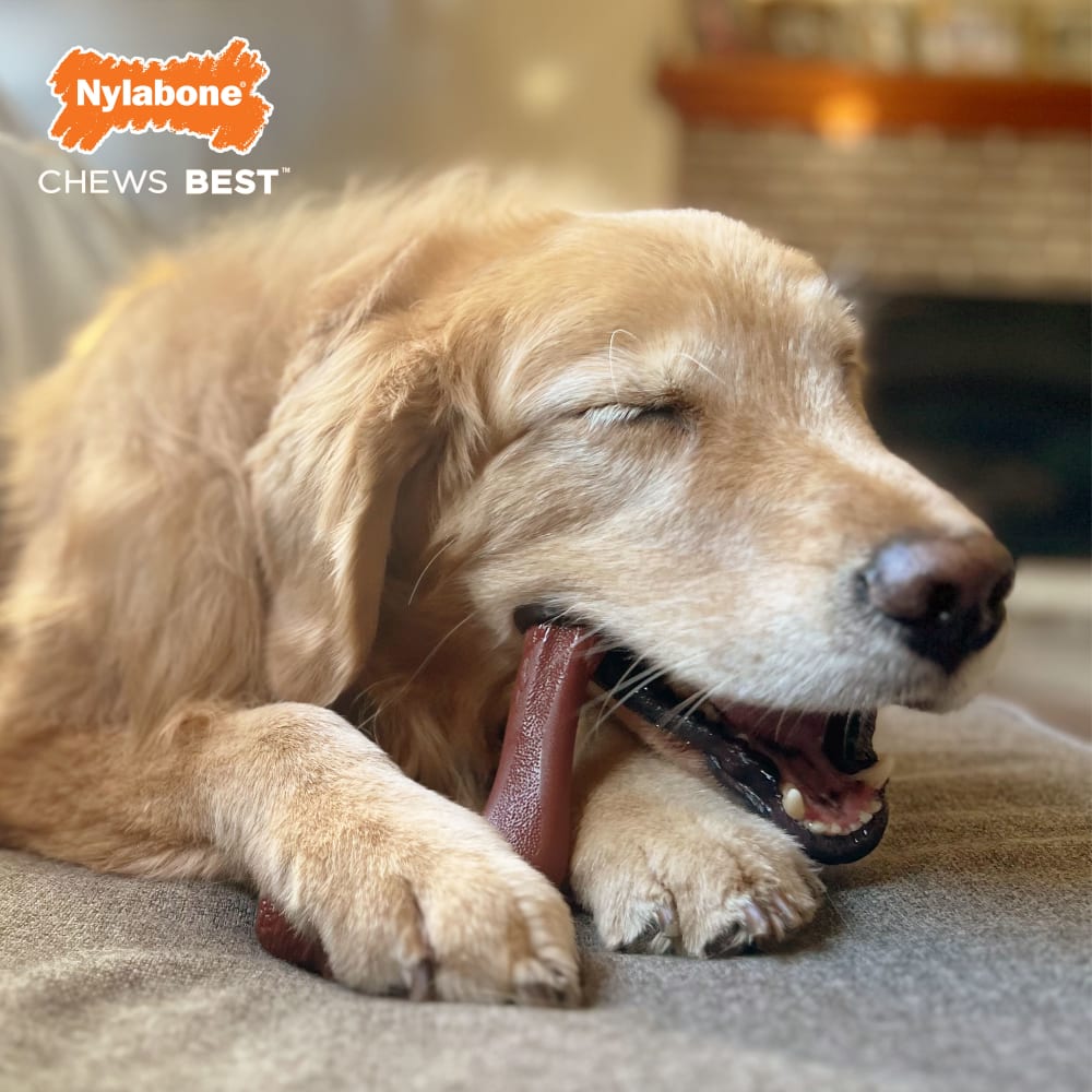 018214855361-nylabone-alt-elk-curved-arch-bone-souper-phase2-brandedlifestyleb