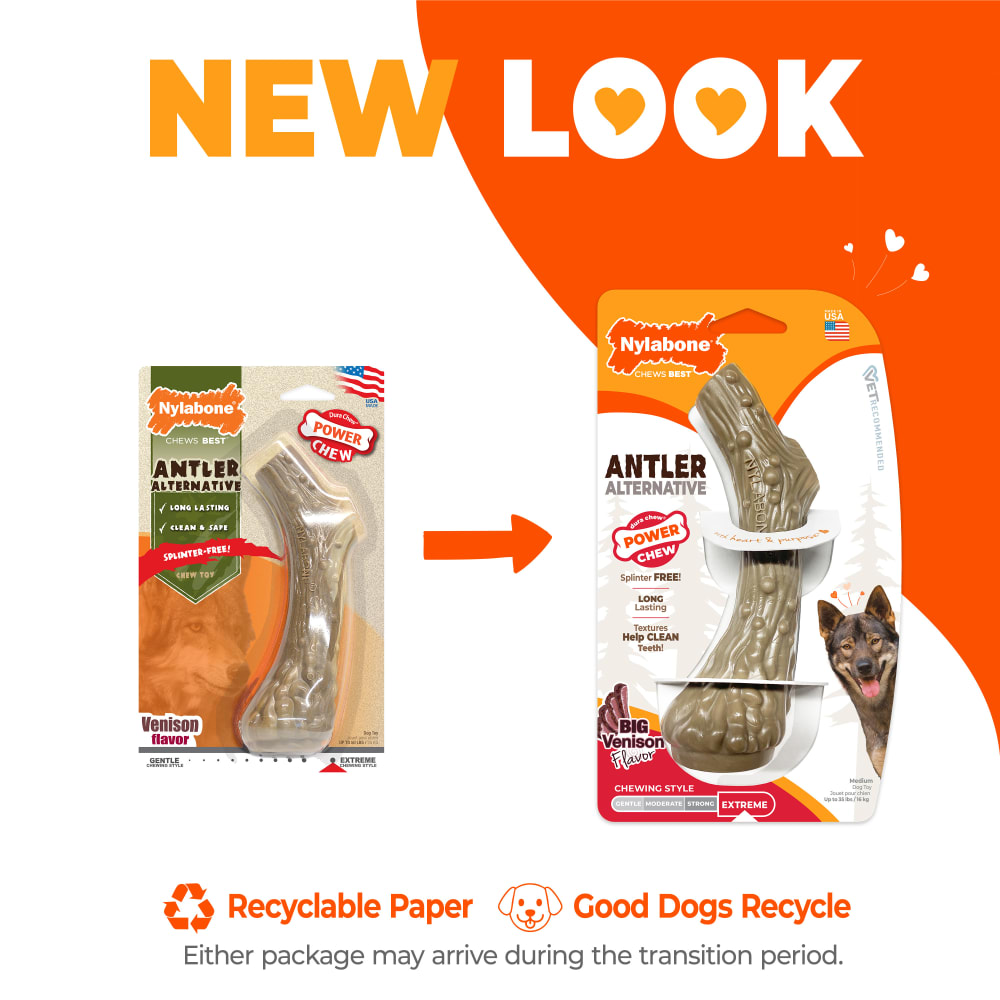 BUSH DE BRUNT ナウワン ＋ オールプレー ODセット Power Chew Antler Dog Chew Alternative | Nylabone