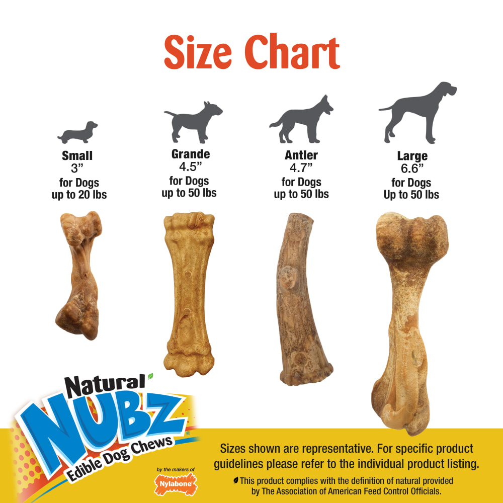 Nubz WILD Antler Venison Chew Treats Nylabone