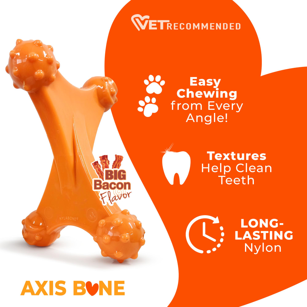 Nylabone Power Chew Axis Bone Dog Chew Toy