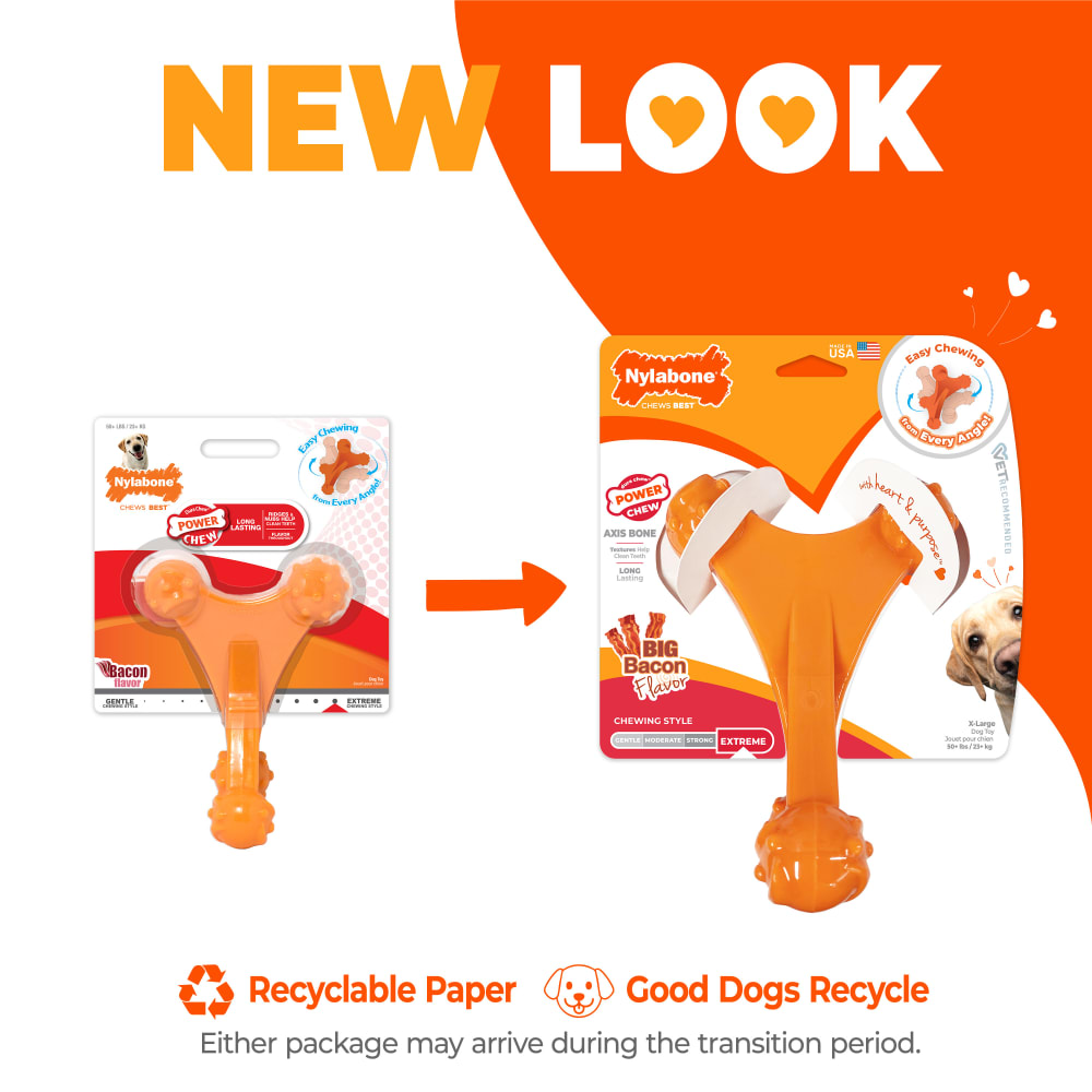 Nylabone Power Chew Axis Bone Dog Chew Toy