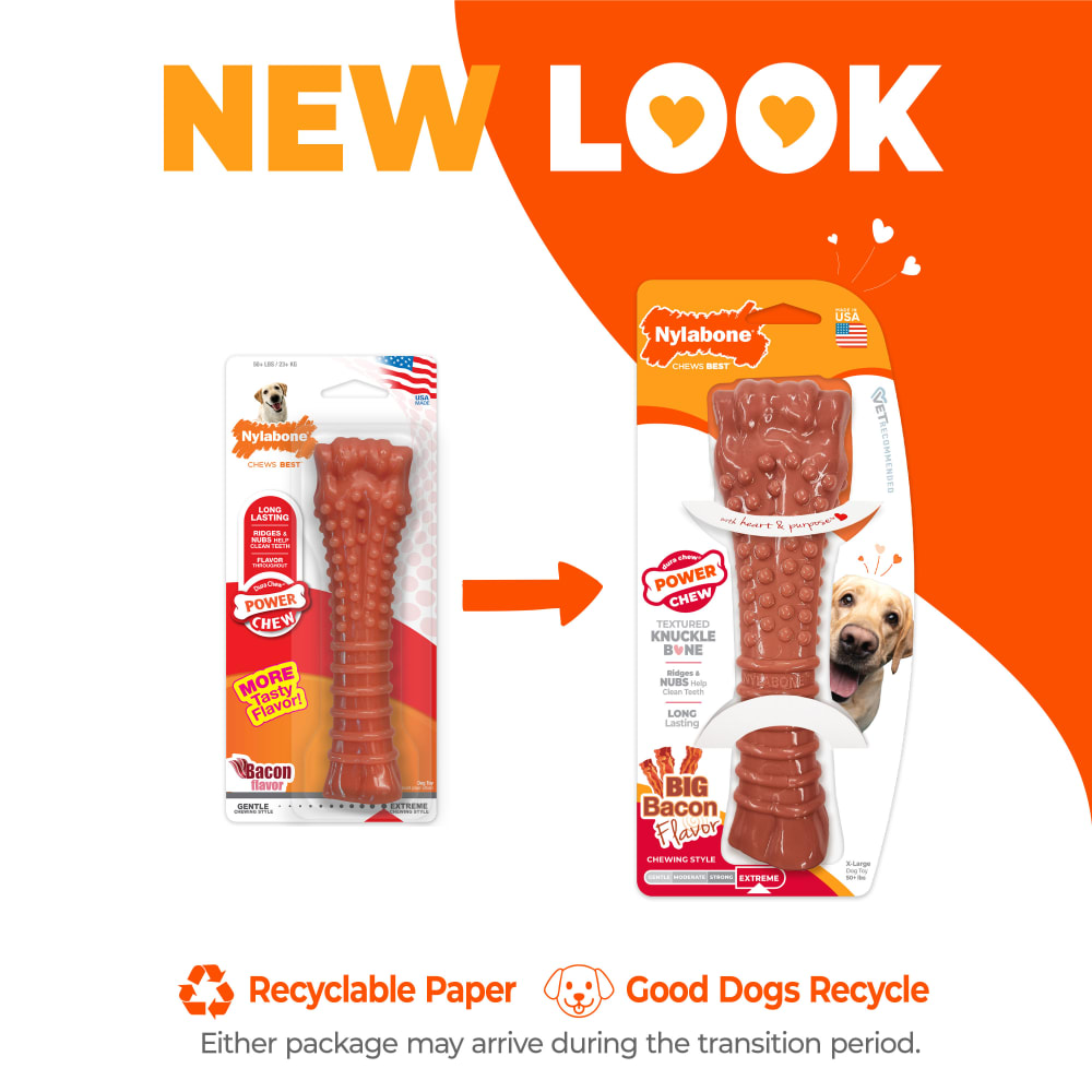 Power Chew Textured Knuckle Bone | Nylabone